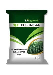 Poshak 44