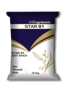 Star 01