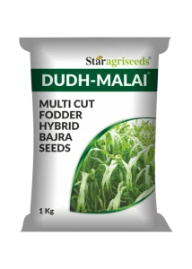 Dudh Malai