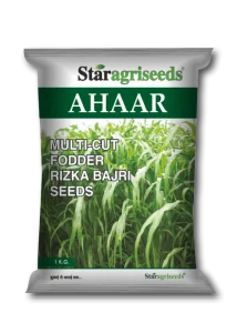 Aahaar