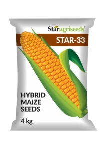 Star 33