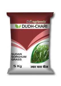 Dudh Chari