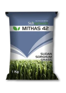 Mithas 42
