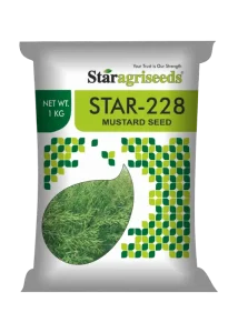 STAR 228