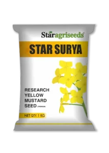 STAR Surya
